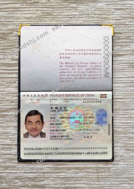 China passport (2013-present) photo look